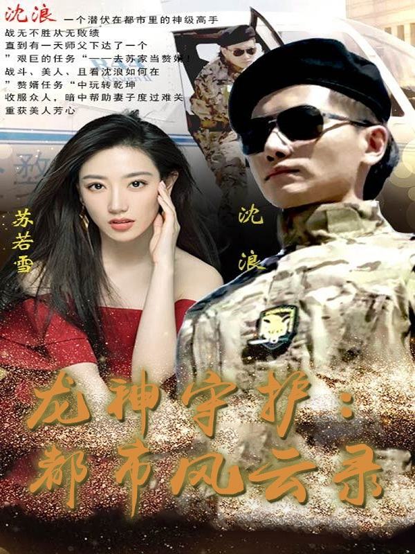 龙神守护:都市风云录封面