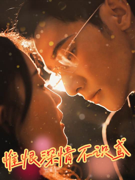 惟恨深情不识鸢封面