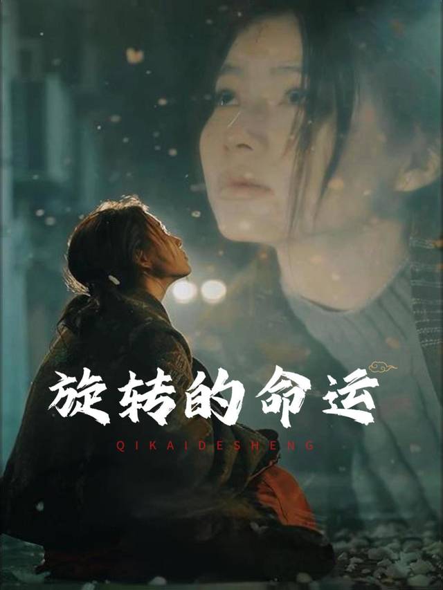 旋转的命运封面