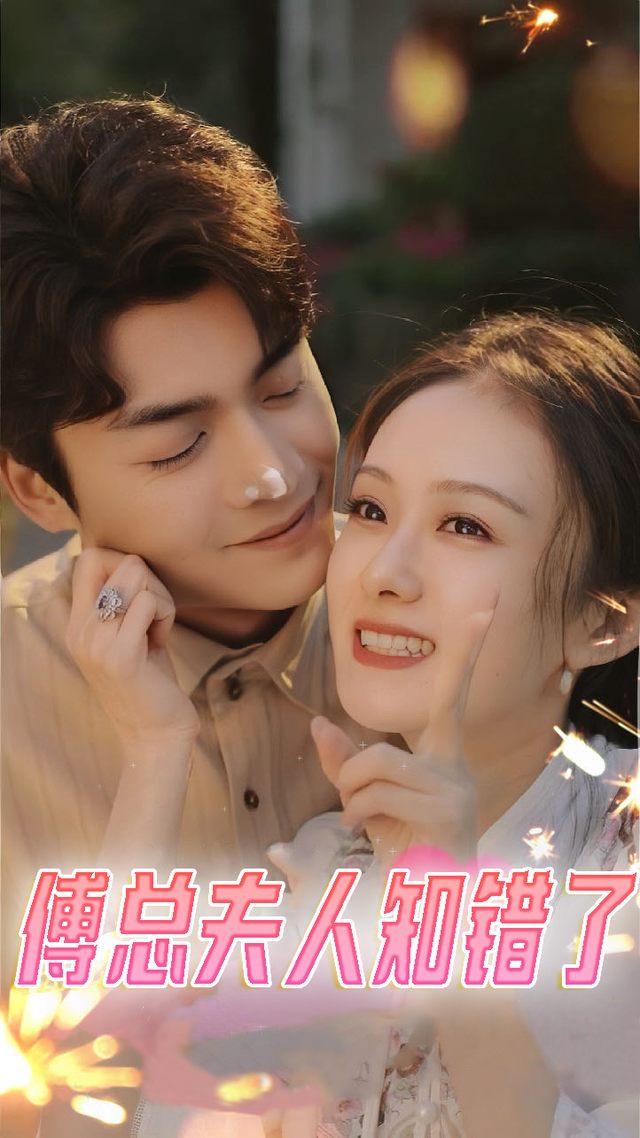 傅总夫人知错了封面