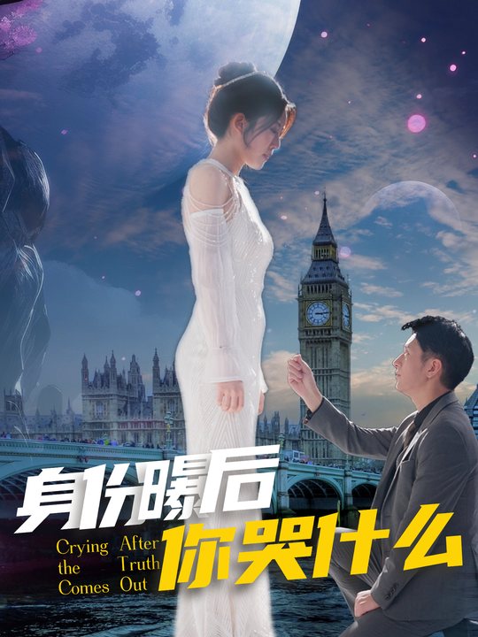 身份曝光后,你哭什么封面