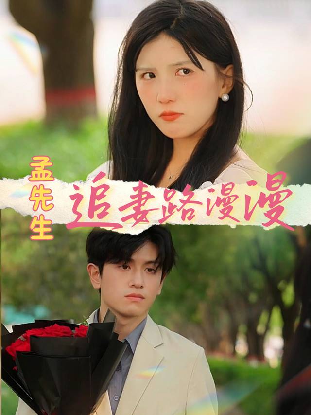 孟先生追妻路漫漫封面