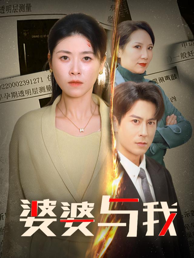 婆婆与我封面