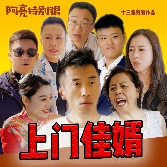 上门佳婿封面
