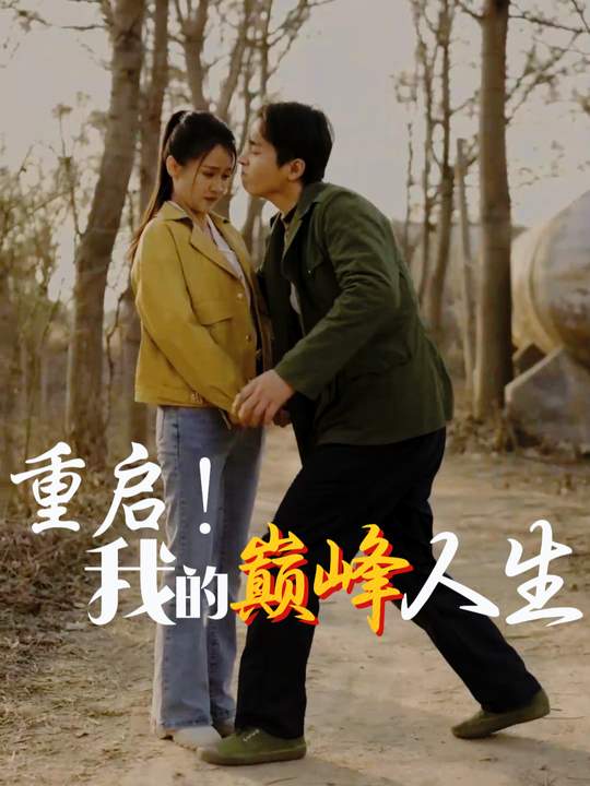 重启!我的巅峰人生封面