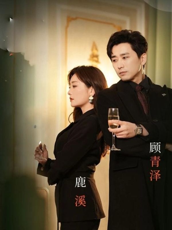 合约夫妻，假戏真做封面