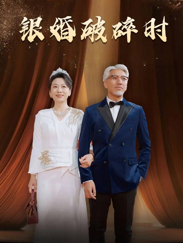 银婚破碎时封面