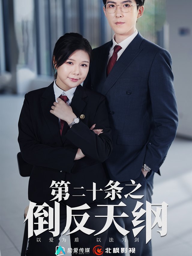 第二十条封面