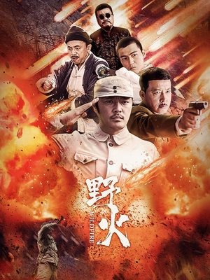 合集 · 野火(上)封面