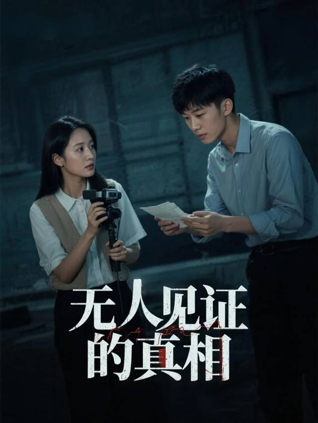 无人见证的真相封面