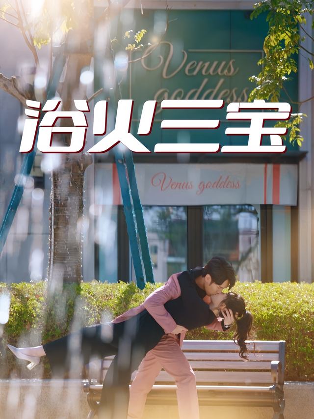 浴火三宝封面