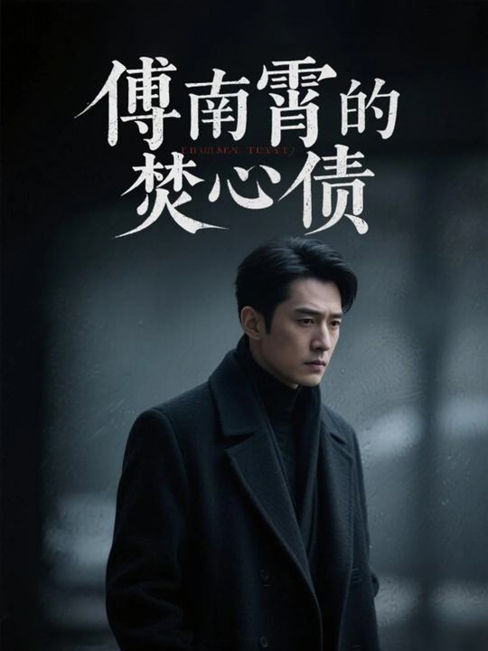 傅南霄的焚心债封面