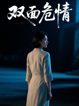 双面危情封面