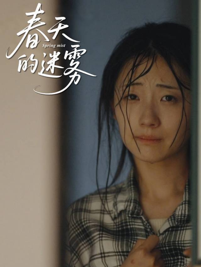春天的迷雾封面