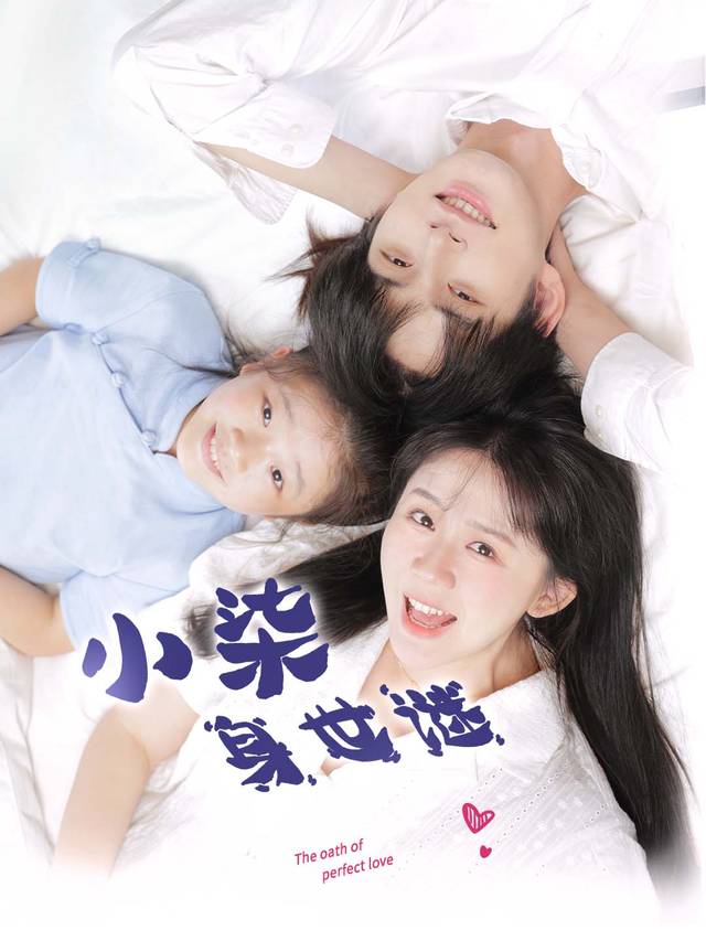 小柒身世谜封面