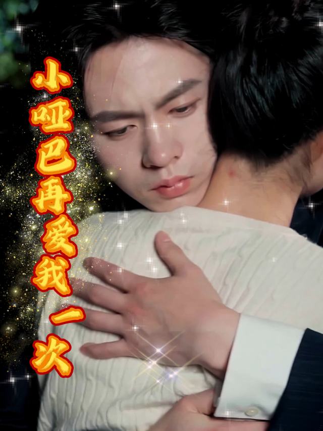 小哑巴再爱我一次封面