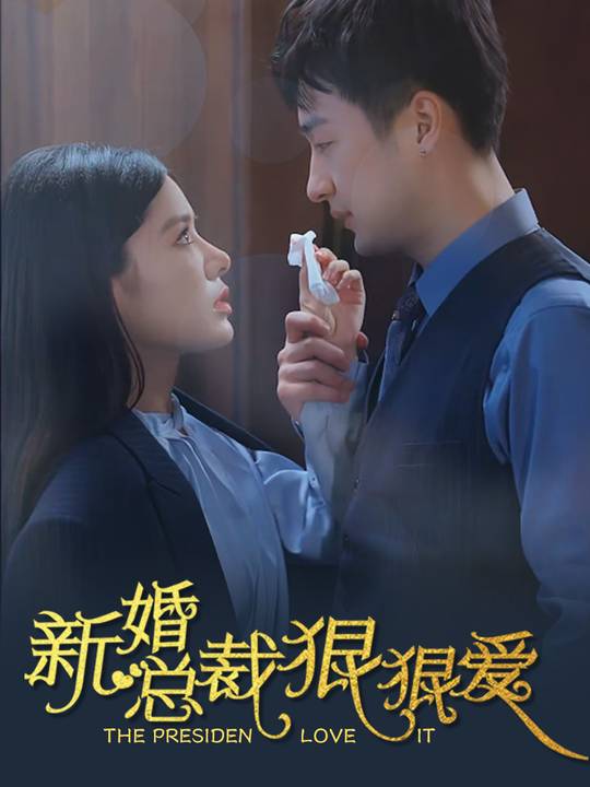 新婚总裁狠狠爱封面