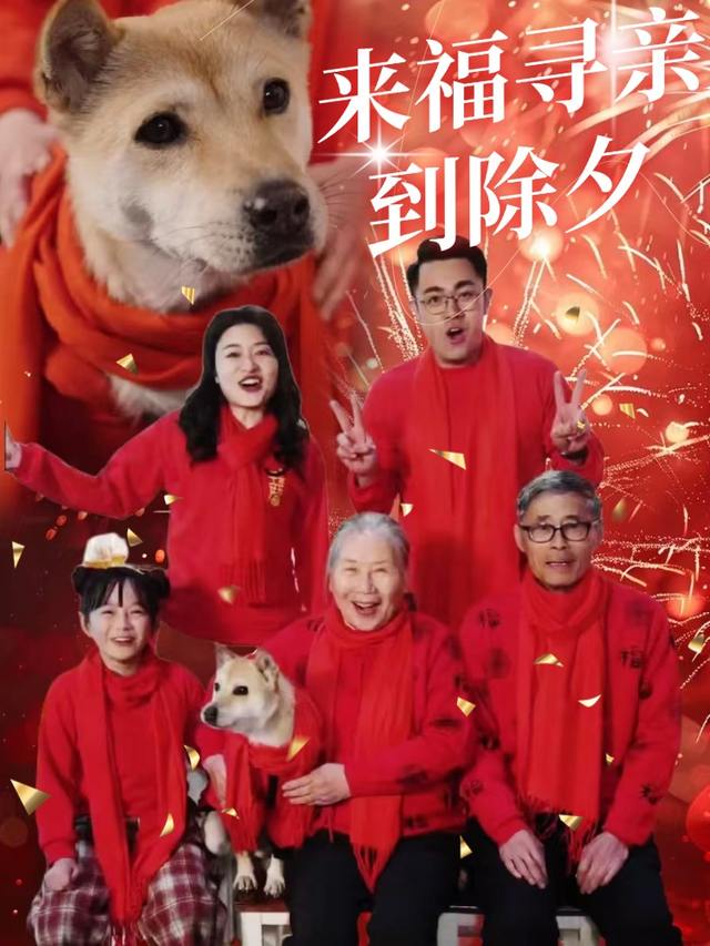 来福寻亲到除夕封面