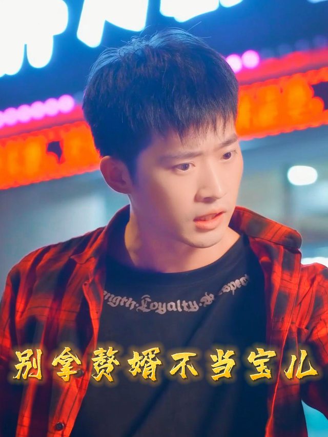 别拿赘婿不当宝儿封面
