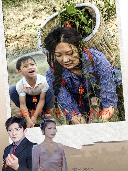 舐犊之爱妈妈我一直都在封面
