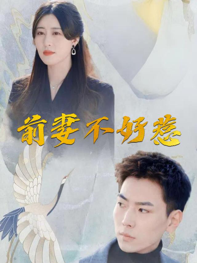 前妻不好惹封面