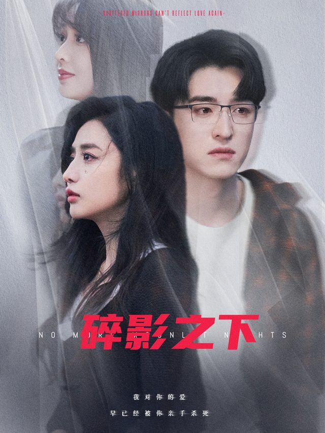 碎影之下封面