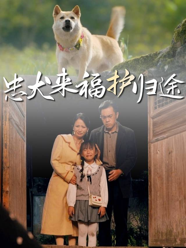 忠犬来福护归途封面