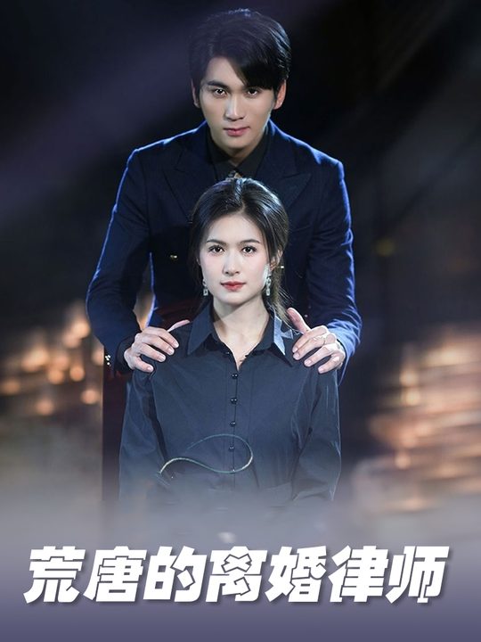 荒唐的离婚律师封面