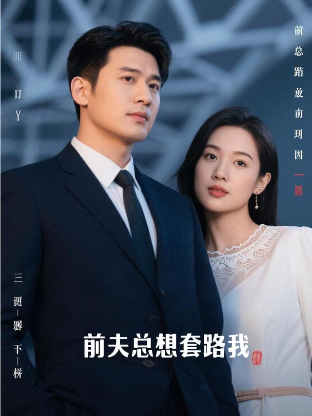 前夫总想套路我封面