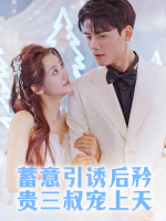 蓄意引诱后矜贵三叔宠上天封面