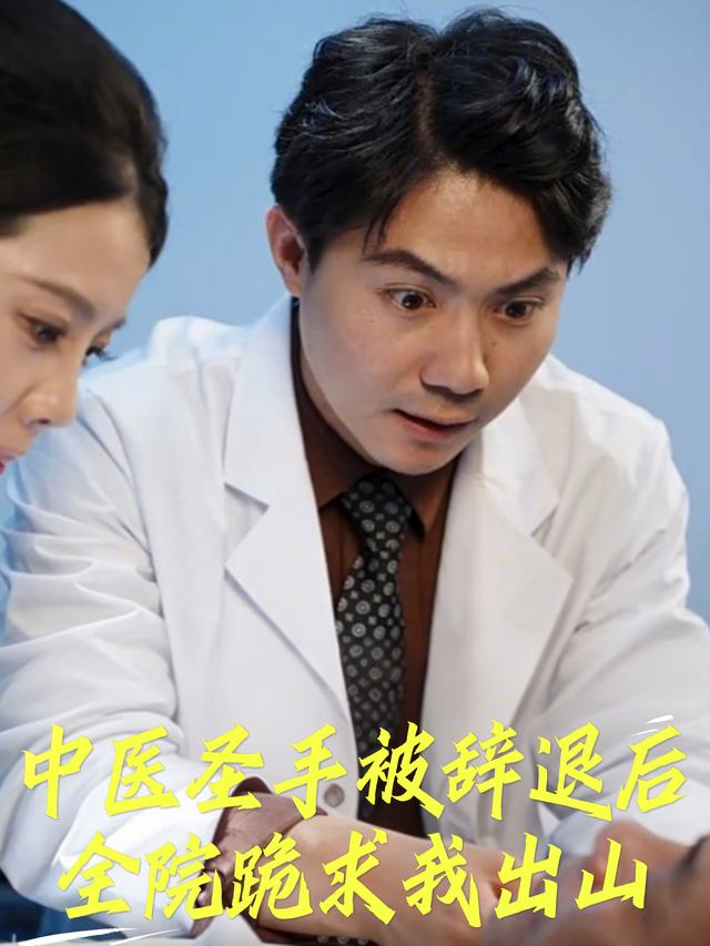 中医圣手被辞退后,全院跪求我出山封面