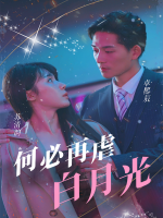 何必再虐白月光封面