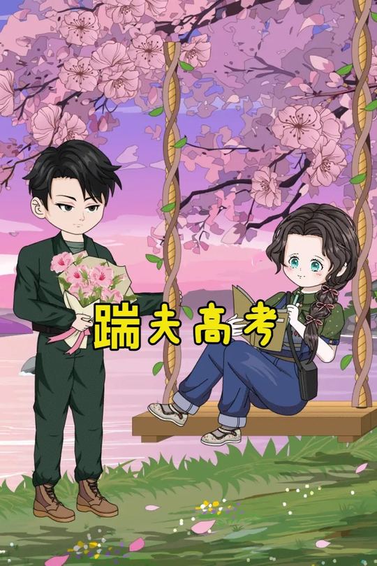 踹夫高考封面
