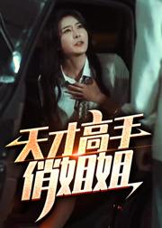 天才高手俏姐姐封面