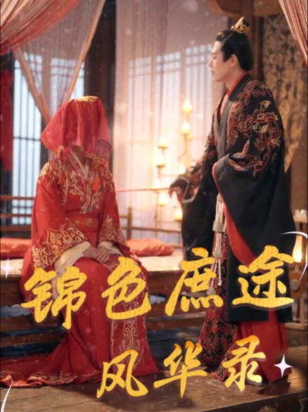 锦色庶途风华录封面