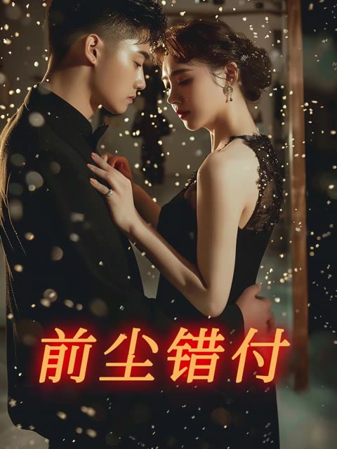 前尘错付封面