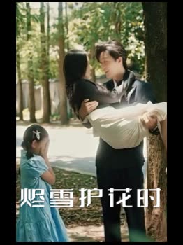 烬雪护花时封面