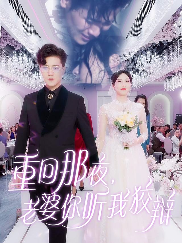 重回那夜,老婆你听我狡辩封面