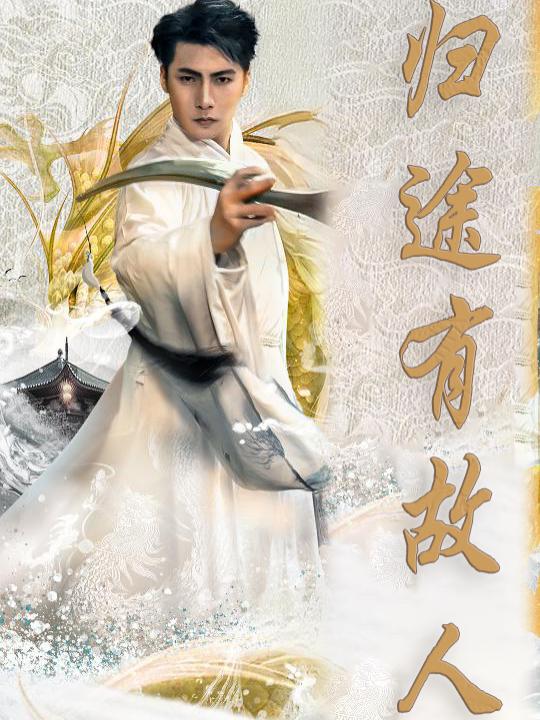 归途有故人封面