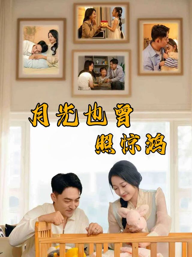 月光也曾照惊鸿封面