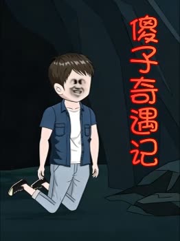 傻子奇遇记封面
