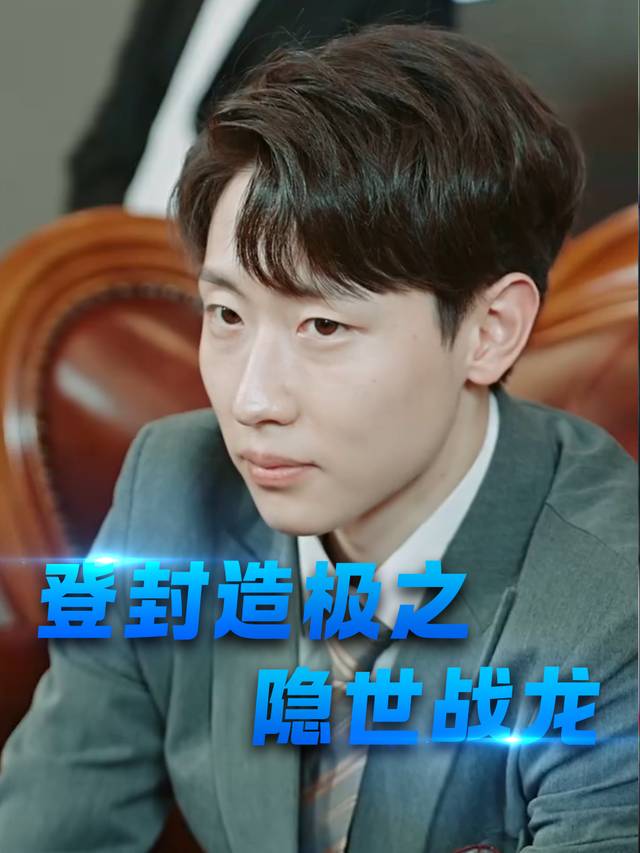 登封造极之隐世战龙封面