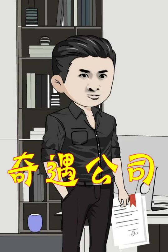 奇遇公司封面