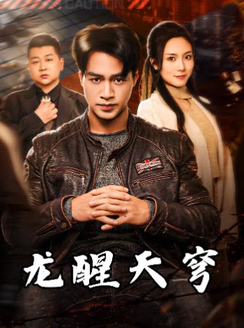 龙醒天穹封面