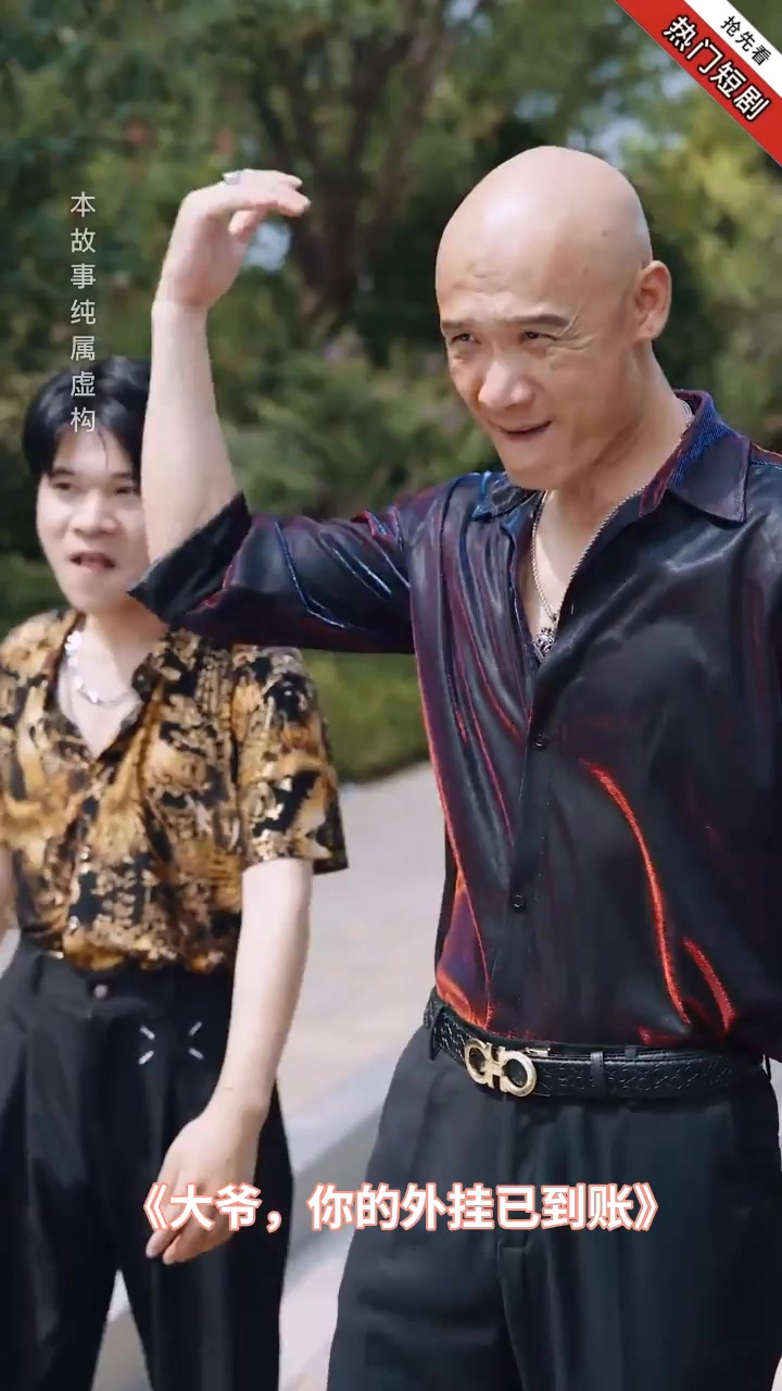 大爷，你的外挂已到账封面