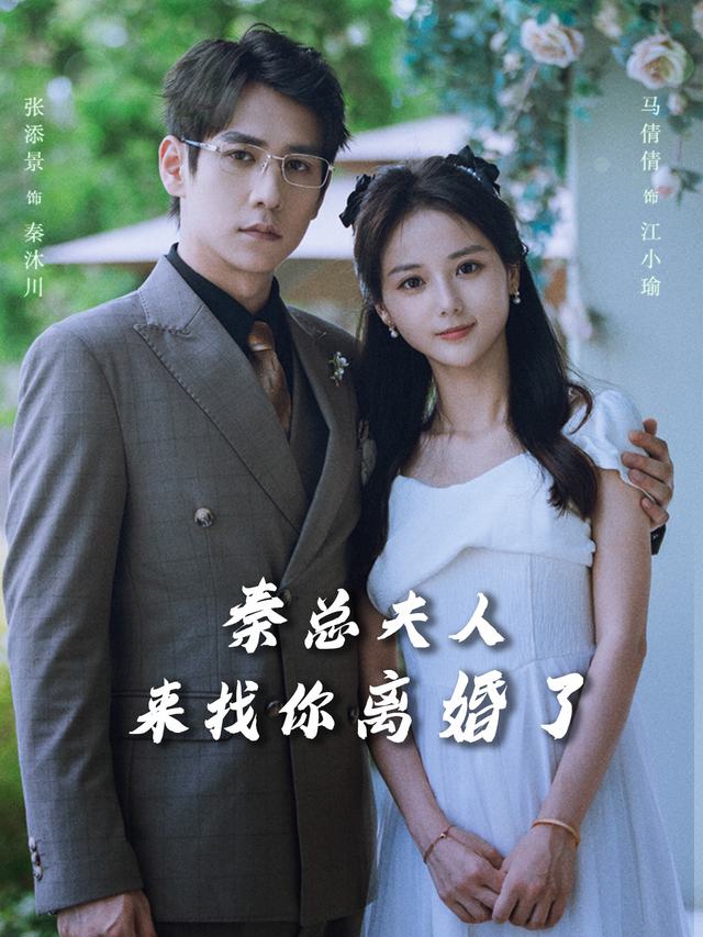 秦总夫人来找你离婚了封面