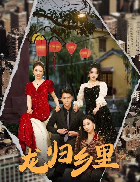 龙归乡里封面
