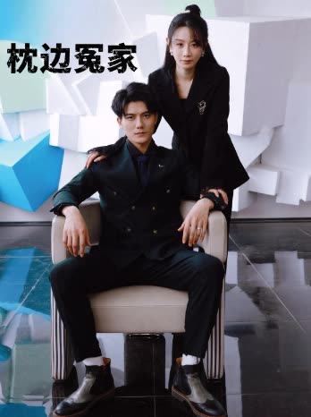 枕边冤家封面