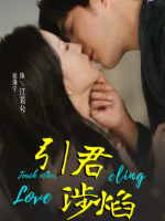 引君涉焰封面
