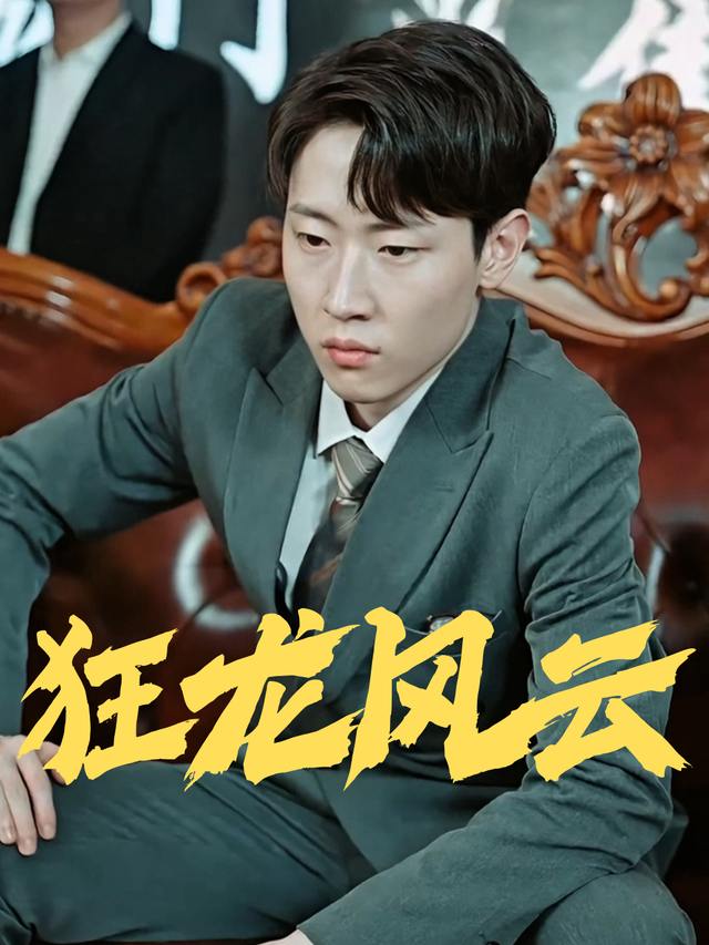 狂龙风云封面